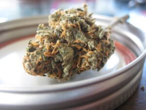 East Coast States Ganging up on Legalization – NY, NJ, PA, and CT Governors Meet