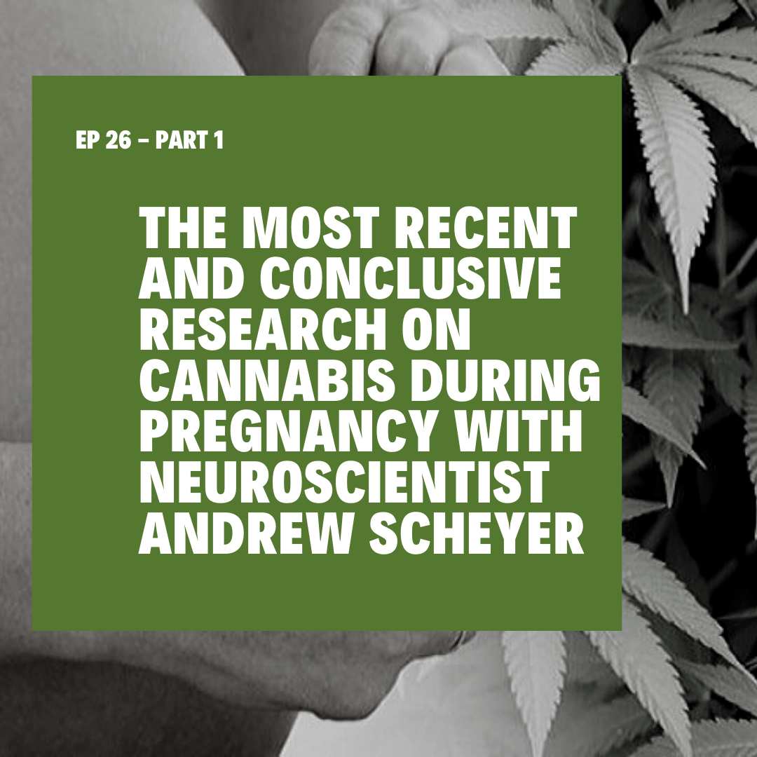 The Most Recent and Conclusive Research on Cannabis During Pregnancy with Neuroscientist Andrew Scheyer