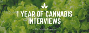 We Spent 1 Year Interviewing People About Cannabis – Here’s What We Learned