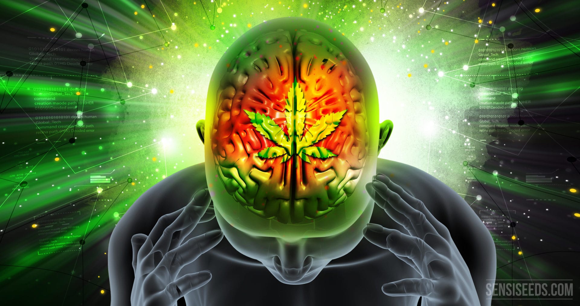 Cannabis for the Brain
