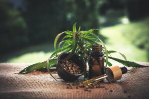 What Is The Difference Between Hemp Seed Oil and Hemp Extract?