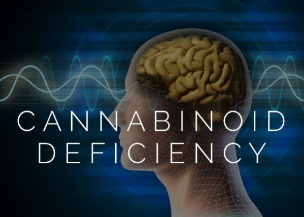 Endocannabinoid Deficinecy