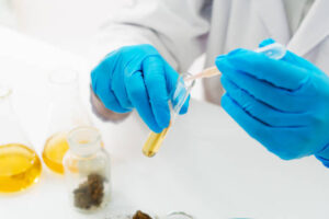 Cannabis 101: Will Taking CBD Make Me Fail a Drug Test?