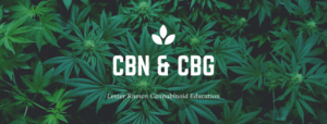 Lesser-Known Cannabinoids CBN and CBG with the Founder of Kat’s Naturals