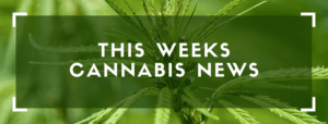 The Update 3/24 | Weekly Cannabis News