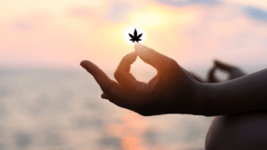 Combining Cannabis, Psychedelics, and Meditation for Overall Health and Wellness