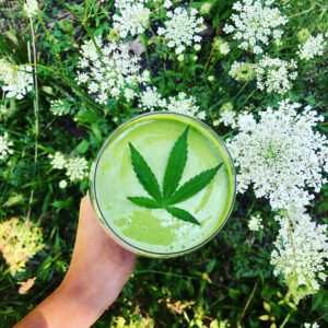 The Benefits of Raw Cannabis in Smoothies and Juices