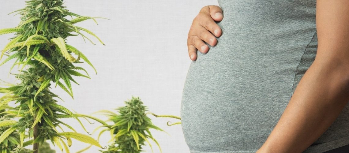 Cannabis and Pregnancy